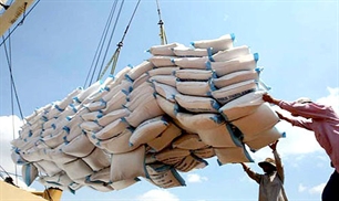 ຫວຽດນາມ ສົ່ງອອກເຂົ້າສານກວ່າ 7 ລ້ານໂຕນ